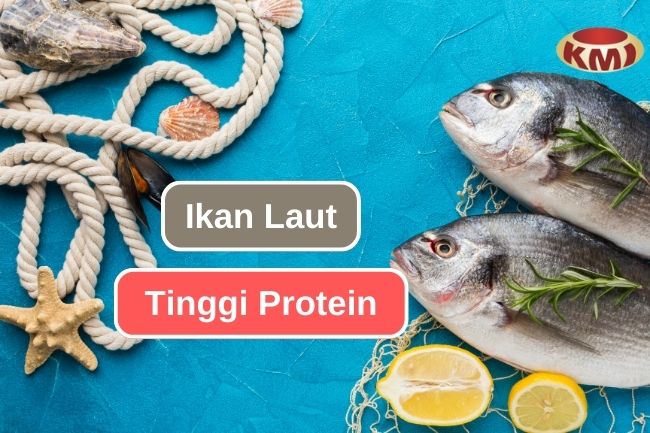 Inilah 10 Jenis Ikan Laut yang Tinggi Protein